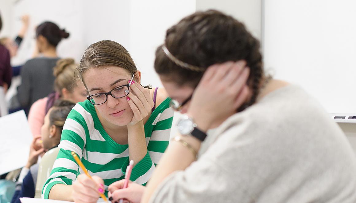 Students studying in class