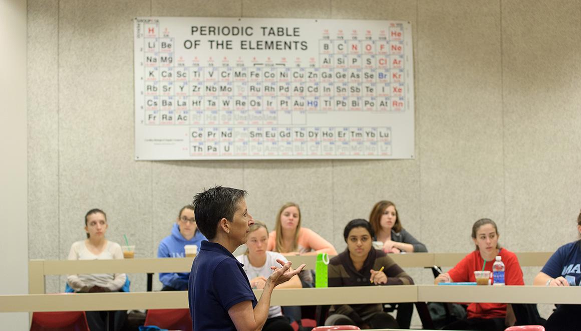 Professor teaching to a class of students