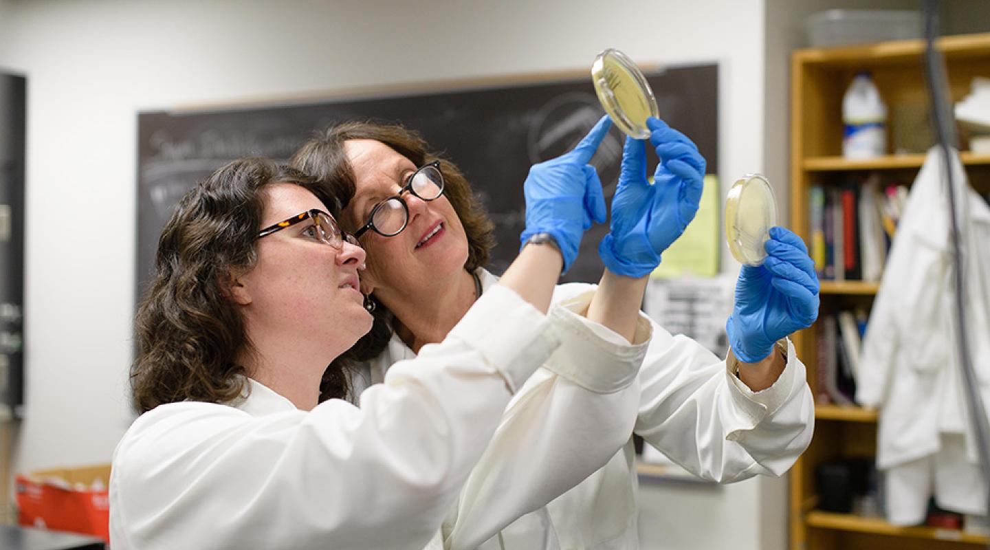 Faculty member and student working in a lab