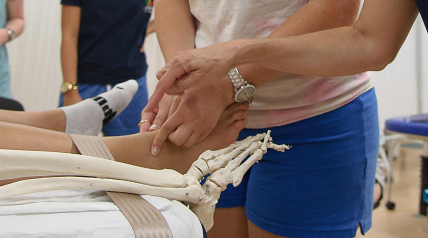 Physical Therapy student working on leg with skeleton leg to compare