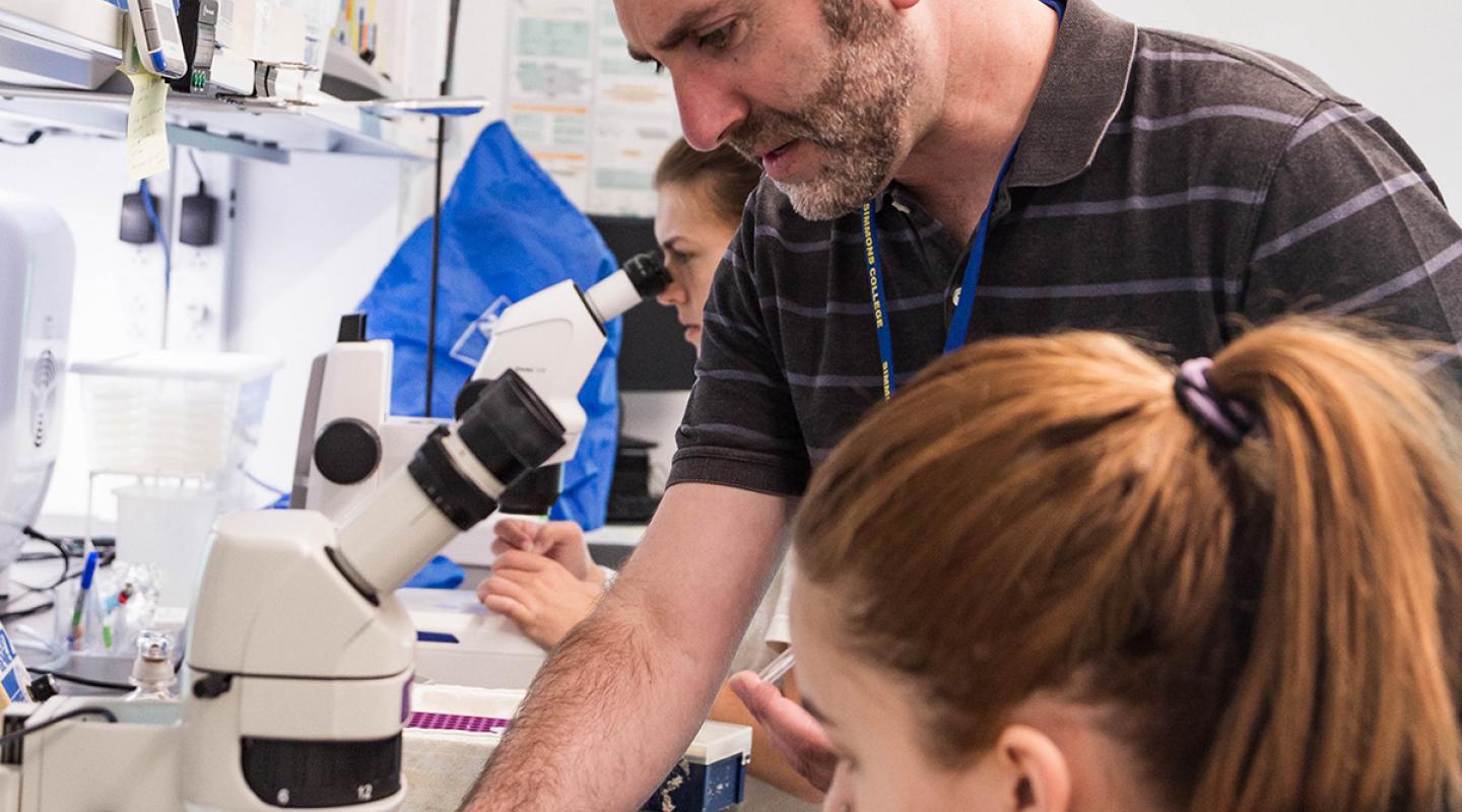 A faculty member works with a Simmons student in a research lab