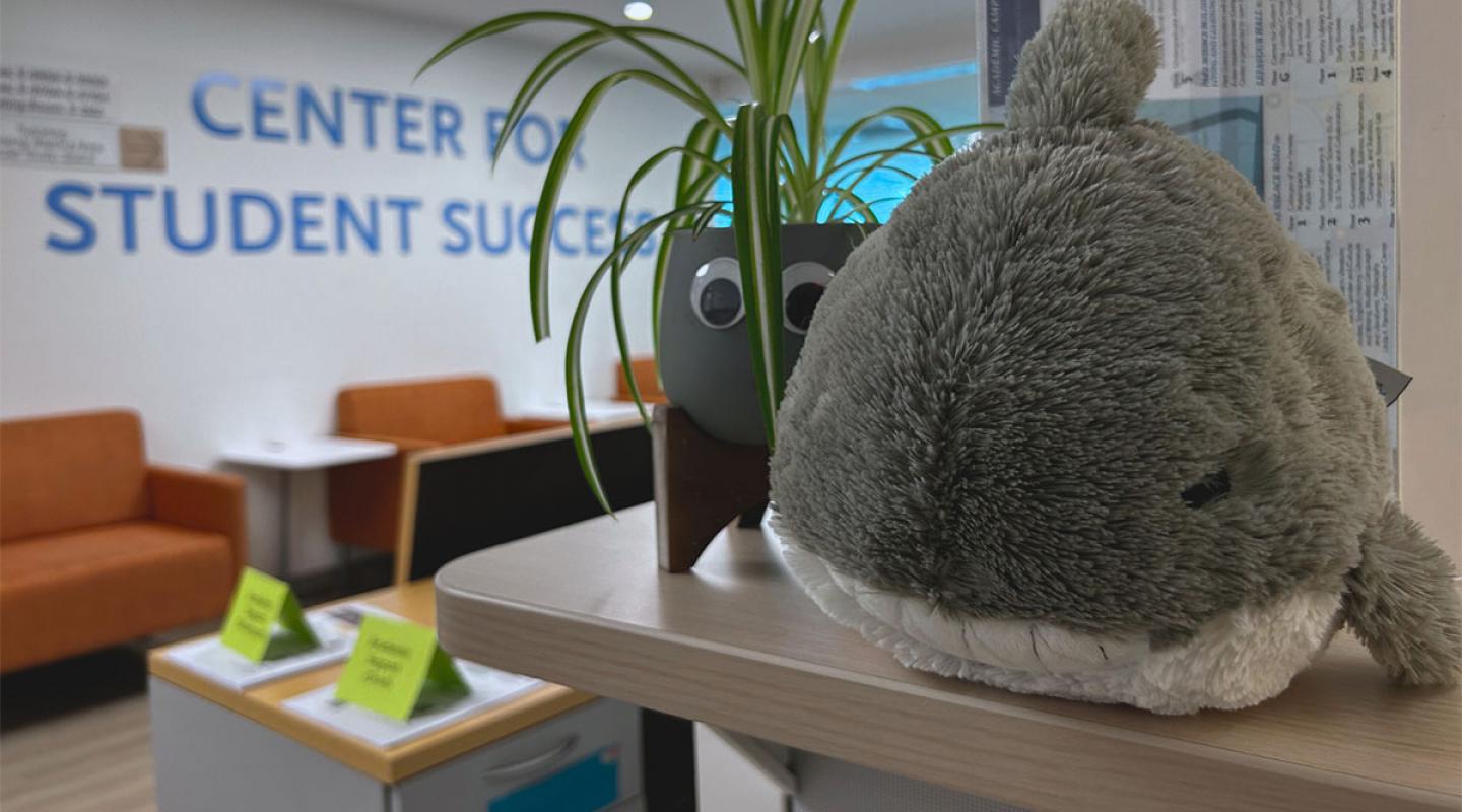 A stuffed shark rests on the reception counter in the Center for Student Success