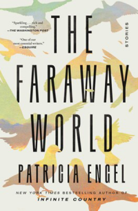 Cover of the book The Faraway World