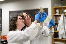 Faculty member and student working in a lab