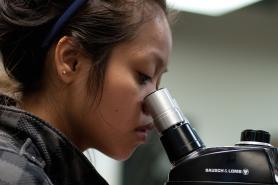 Student looking through a microscope