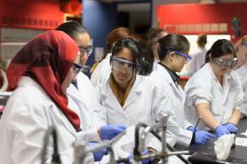 Students working in a lab