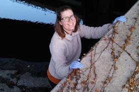 Emma Harrison gathering samples for muddy river project.