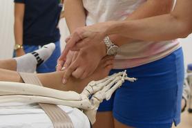 Physical Therapy student working on leg with skeleton leg to compare