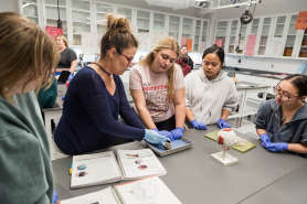 Students working with a faculty member on a dissection in the Biology lab