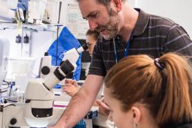 A faculty member works with a Simmons student in a research lab