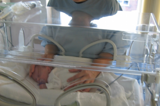 A mother holding her premature baby through the walls of an incubator