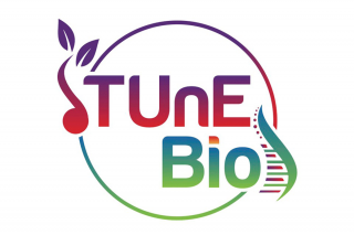 The logo for the grant proposal "RCN-UBE: Transforming Learning and Equity in UBE [Undergraduate Biology Education] by Cultivating an Ecosystem of Feedback (TUnE-BIO)"