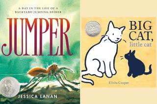 Side by side book covers: Jumper by Jessica Lanan and Big Cat, Little Cat by Elisha Cooper