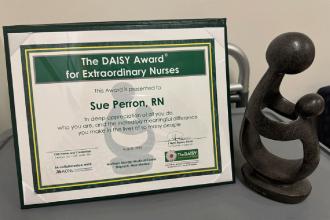 Photo of the DAISY Award that was presented to Susan Perron ’18