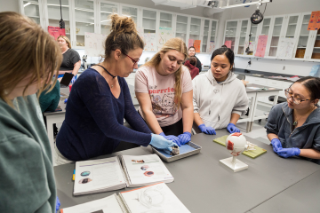 Students working with a faculty member on a dissection in the Biology lab