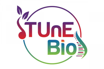 The logo for the grant proposal "RCN-UBE: Transforming Learning and Equity in UBE [Undergraduate Biology Education] by Cultivating an Ecosystem of Feedback (TUnE-BIO)"