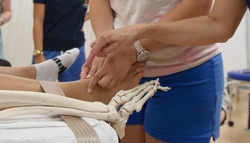 Physical Therapy student working on leg with skeleton leg to compare