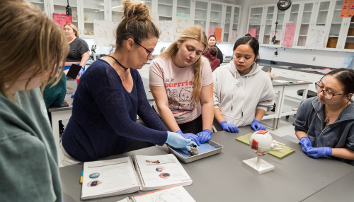 Students working with a faculty member on a dissection in the Biology lab