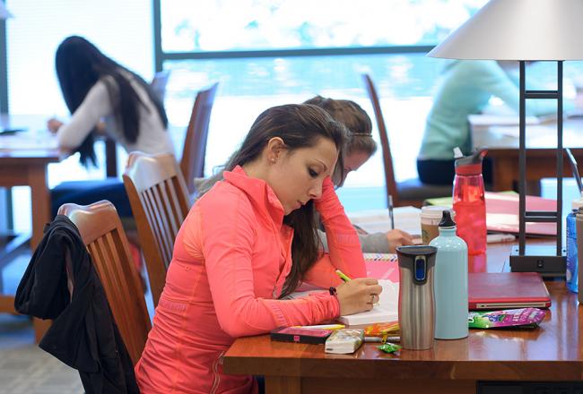 Student working at a desk