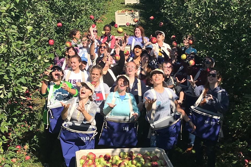 Simmons Students Harvest 11 200 Pounds Of Apples For Boston Food